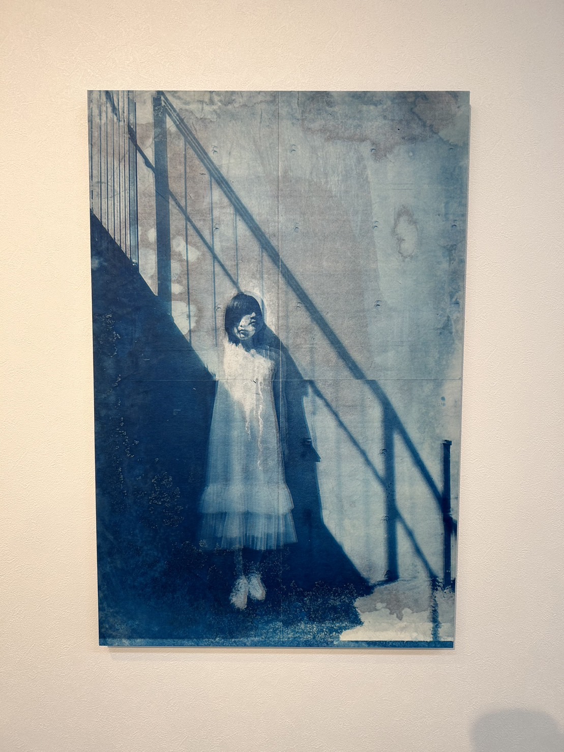 『Jamais vu/Mellow』2023 八女紙、胡粉、Cyanotype